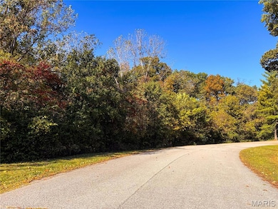 1 Manderly Place Dr, O Fallon, MO 63366 - photo 3