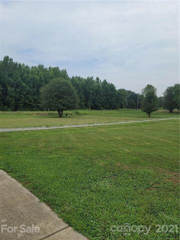 View of front yard from home. Very private and level.