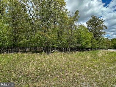 Lot 100 Snowhaven, Mc Henry, MD 21541 - photo 5