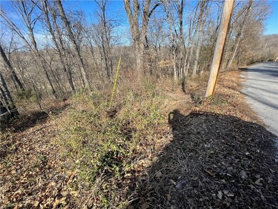 1 Winsford Ln, Bella Vista, AR 72714 - photo 7