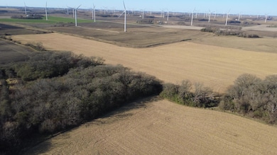 720XX 255th St, Oakland, MN 56007 - photo 3