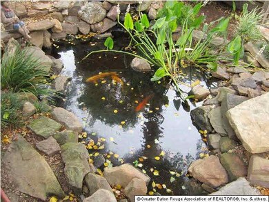 coi pond