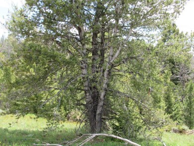 Mtn Maid A Quartz Hill Rd, Wise River, MT 59762 - photo 7
