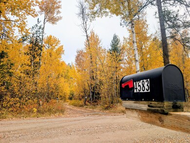 4583 Furze Rd, Clayton, WA 99110 - photo 4