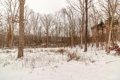 0 Chaparral Rd unit 1828341, West Union, OH 45693 - photo 4