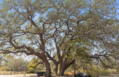 1304 County Road 777, Devine, TX 78016 - photo 6