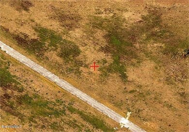 951 negundo aerial
