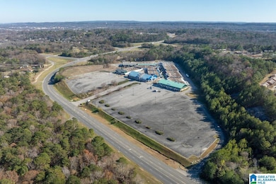 4500 Katies Way, Bessemer, AL 35022 - photo 3