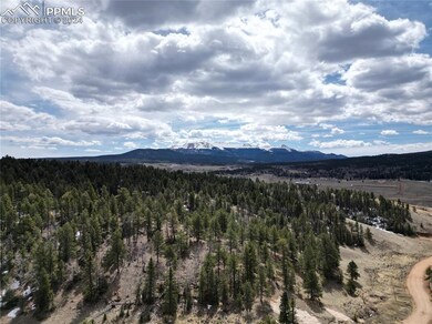 LOT 3 Highway 24, Divide, CO 80814 - photo 3