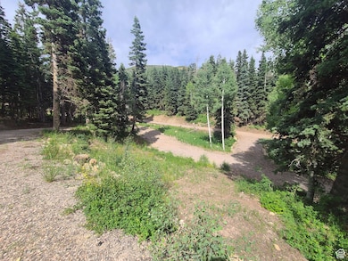 63 Deer Valley Dr unit K63, Fairview, UT 84629 - photo 3