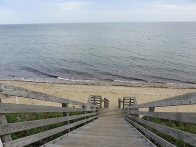 IMG_6206 (2)