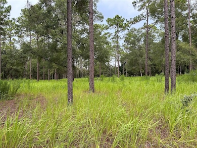 16051 SW 44 St, Ocala, FL 34481 - photo 2