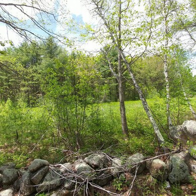 stevens corner 2