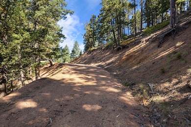 13126 Andiron Way, Larkspur, CO 80118 - photo 2