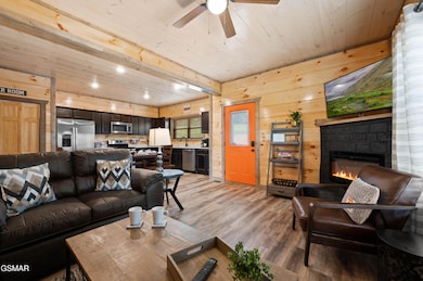 207 Lily Jo Way, Sevierville, TN 37876 - photo 3