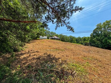 0 Island Cove Rd unit 23824831, Rocky Top, TN 37769 - photo 6