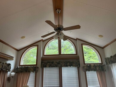 Ceiling fan