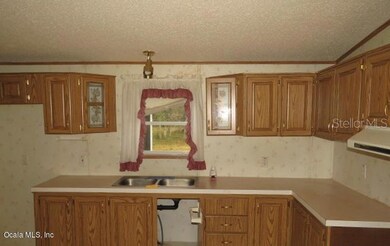 4100 SW 177th Ct, Dunnellon, FL 34432 - photo 5