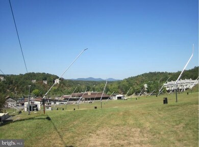 1836 Fairway Dr unit 221, Basye, VA 22810 - photo 3