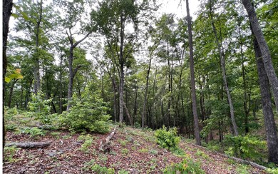 Additional View