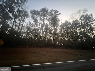 0 S Rock Island Dr unit 10655917, Eatonton, GA 31024 - photo 5