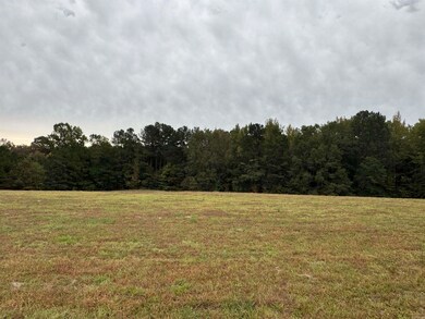 000 Lee Cove, Bryant, AR 72103 - photo 3