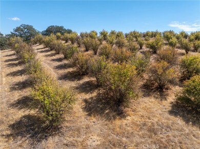 27 Wellsona Rd, Paso Robles, CA 93446 - photo 6