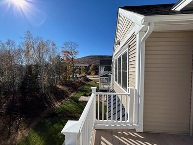 16 Devereaux Way unit F-2, Waterville Valley, NH 03215 - photo 5