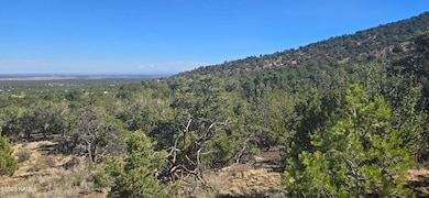 20202016t No Name Rd, Williams, AZ 86046 - photo 2