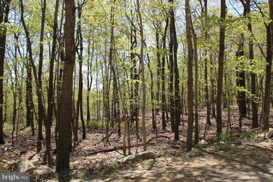 215 Fox Dr, Winchester, VA - photo 3