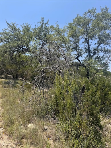 View of nature