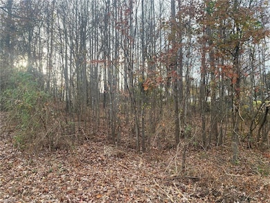 000 Meadow Lane Rd, Hays, NC 28635 - photo 3