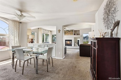 19917 Mitchell Cir, Denver, CO 80249 - photo 2