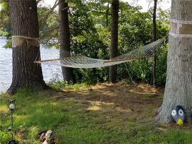 Back yard 3