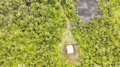 11-1785 Punahele St, Mountain View, HI 96771 - photo 4