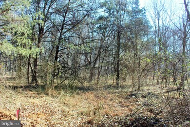 5721 Turner Rd, Broad Run, VA 20137 - photo 5