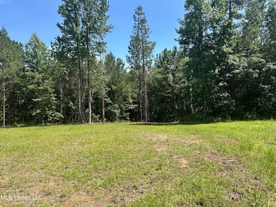 0 Bonds Rd, Roxie, MS 39661 - photo 2