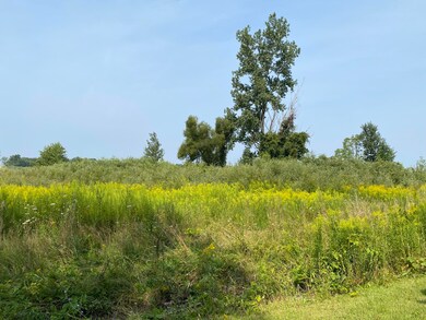 IMG-1369