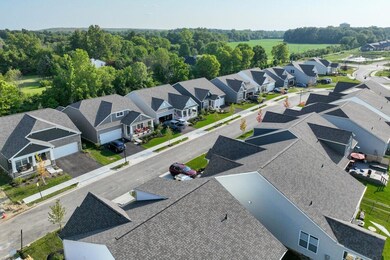 Community Streetscape