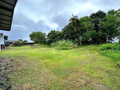 107 Laula Rd, Hilo, HI 96720 - photo 4
