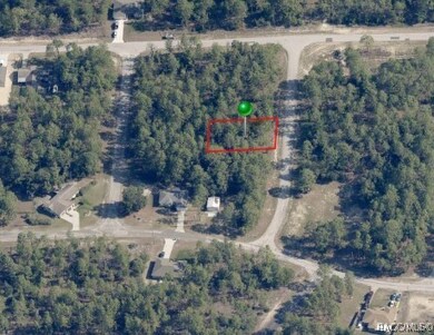 10950 N Ella Terrace, Citrus Springs, FL 34433 - photo 5