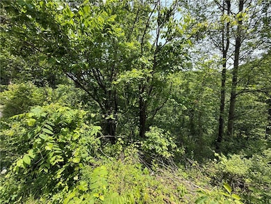 160 Pine St, Charleston, WV 25311 - photo 3