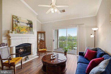 12917 Centre Park Cir unit 417, Herndon, VA 20171 - photo 6