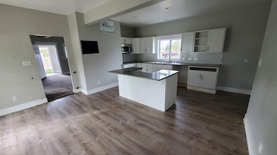 913 N Monroe St, Lowell, MI 49331 - photo 3