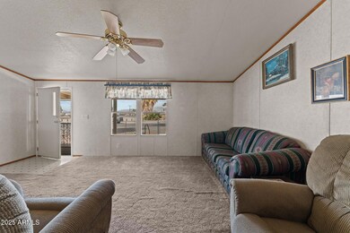 6-web-or-mls-DSC06019