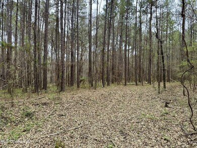 Robinson Rd Lot: 1, Canton, MS 39046 - photo 5