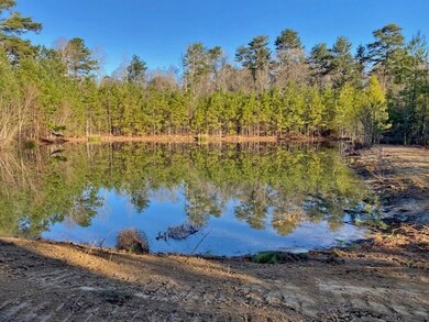 375 Ginntown Rd, Tylertown, MS 39667 - photo 2