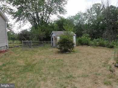 599 Bucks Mill Rd, Strasburg, VA 22657 - photo 5