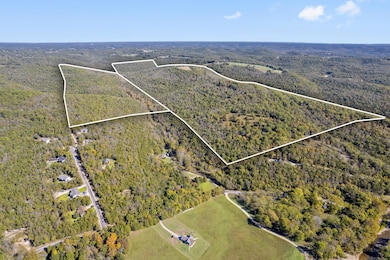 000 Wolf, Walnut Shade, MO 65771 - photo 2