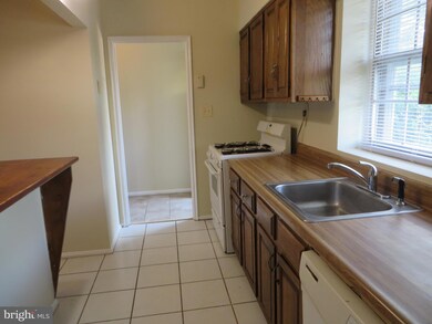 16 Ancell St, Alexandria, VA 22305 - photo 7